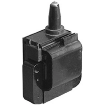 Delphi GN10171-12B1 - Aizdedzes spole