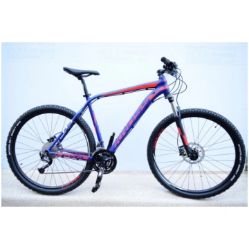 Kross Level B3 (2020)
