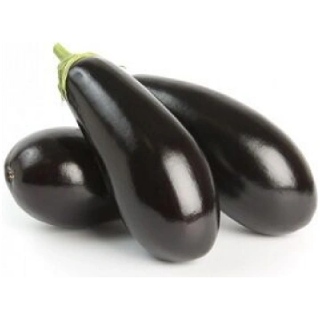 Baklažāni NICKY F1 5 gab Rijk Zwaan 10/2027 atl.0
