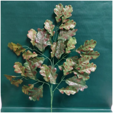 CV05067