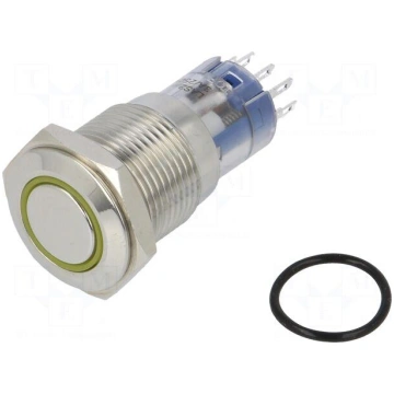 Switch: vandal resistant | DPDT | 3A/250VAC | IP67