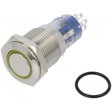 Switch: vandal resistant | DPDT | 3A/250VAC | IP67
