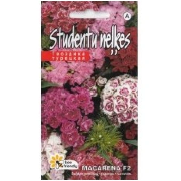 Kurzemes Sēklas Sēklas neļķes studentu Macarena F2