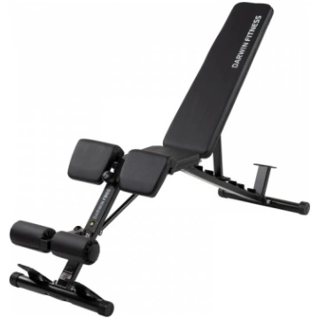 Darwin weight bench FB60 Darwin Fitness