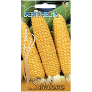 Sēklas SEKLUVA Saldā kukurūza Sanitel F1 174412 47