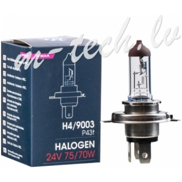 Z904 - M-TECH Halogen bulb H4 24V/75/70W