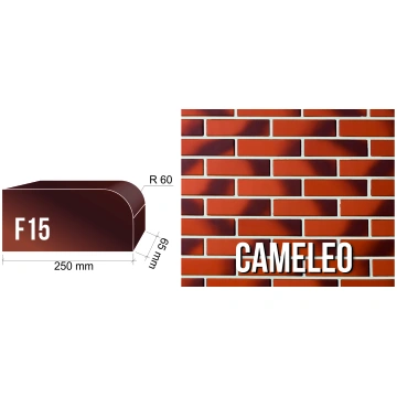 Ķieģeļi CAMELEO F15 apdares caurumoti, figurālie 2