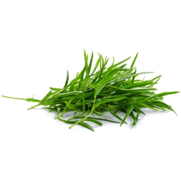 Estragons 50g