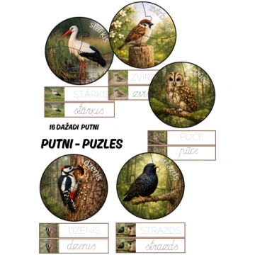 Putni - puzles. - Mācību materiāli Pirmsskola