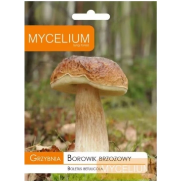 Bērzu Baravikas micēlijs 10g 5906874355015