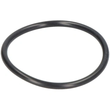 Automātiskās pārnesumkārbas blīvslēgs ZF 0734 300 