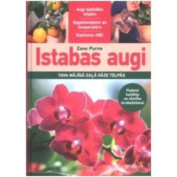 Lietots - Istabas augi - Zane Purne