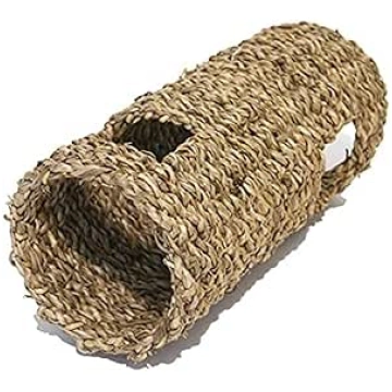 Rosewood Boredom Breaker Small Animal Activity Sea