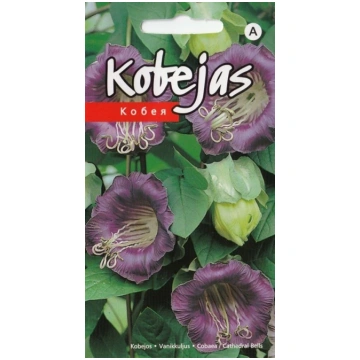 KURZEMES SEKLAS Sēklas kobejas Purple Seeds, 3 g