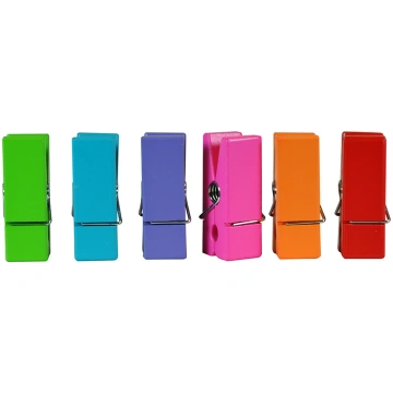 CLIPS, FOCUS, Clip magnetic ass. MIX Color (1GB), 