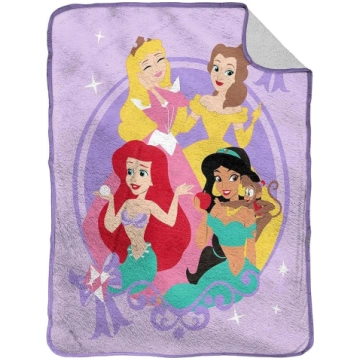 Jay Franco Disney Princess Beauty Is Inside Fluffy