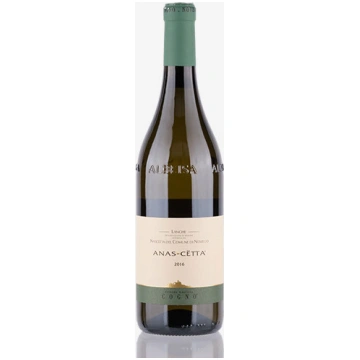 'Vigna Elena' Barolo Riserva Docg Cogno