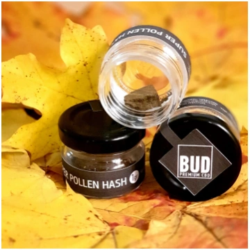 CBD Riga CBD Super Pollen Hash 10% cannabis
