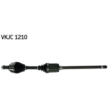 Pusass PR. LAB. BMW X5 00-06 3.0-4.8 SKF VKJC1210