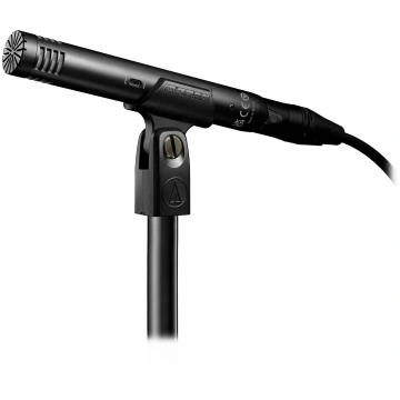 Audio-Technica AT2031