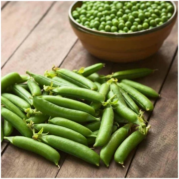 Saldie zirņi 'Kelvedon' (Pisum sativum)