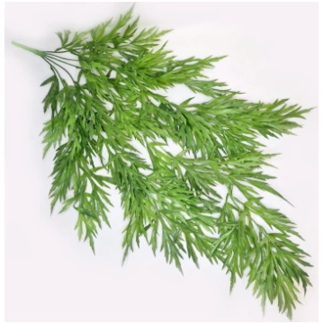 Nokarenie augi H80cm
