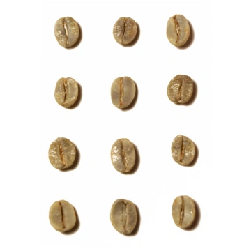 Brazīlija / DECAF Santos Šveices Ūdens zaļā kafija