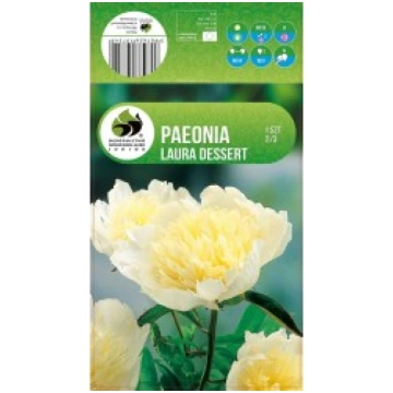 PEONIJAS LAURA DESSERT R-RINKINIAI-PAVASARIS
