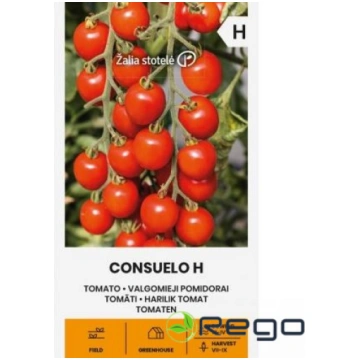 Tomāti CONSUELO H 10 s