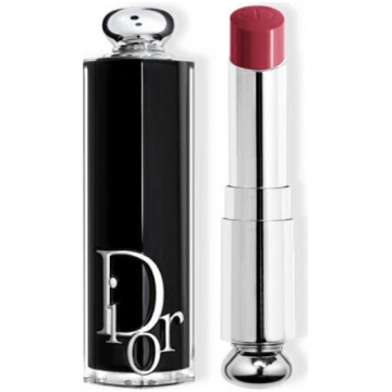 Lūpu krāsa Dior Addict Lipstick Barra De Labios 66