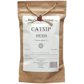 Kaķu mīlestība – Nepeta cataria L – Kaķu mīlestība