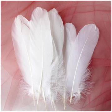 White Feather Goose Feather Hard Floating Dream Ca