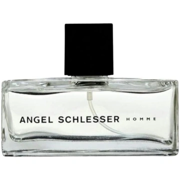 Tualetes ūdens Angel Schlesser Homme, 75 ml