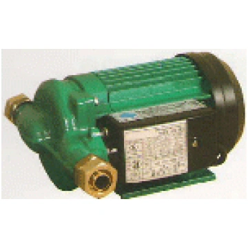 Sūknis PB-088EA (3068133) Wilo