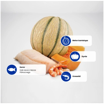 Farmina N&D Ocean Cat Cod, Shrimp, Pumpkin and Can