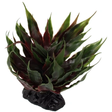 Dekoratīvs augs terārijam – ReptiPlanet Agave succ