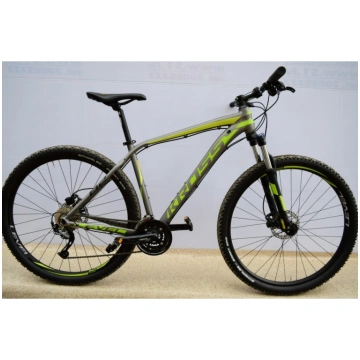 Kross Level B2