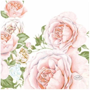Salvetes 24cm Rose Glory (20)