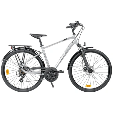 Velosipēds Romet Wagant 2 2025 pelēks-19" / M