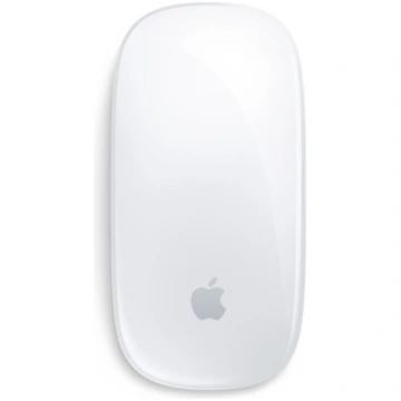 Apple Magic mouse Office Ambidextrous Bluetooth