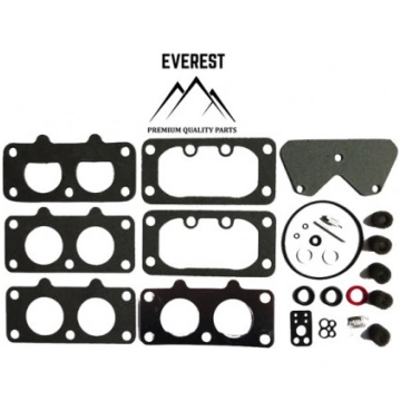 OPRAVĀRENSKĀ SŪPRAVA BRIGGS&STRATTON 40H700 446700