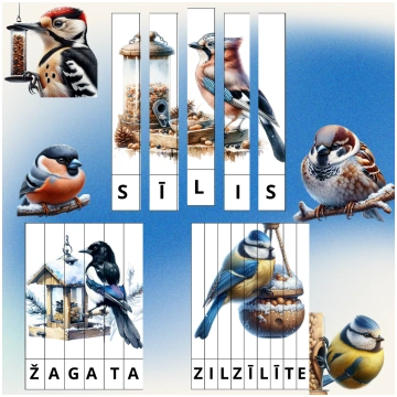 Putni barotavā. Puzles. - Mācību materiāli Pirmssk