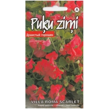 Puķuzirņi nokarenie Villa Roma Scarlet 1g