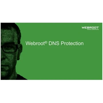 Webroot DNS Protection with GSM Console 2 year(s) 
