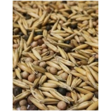 Auzu/Zirņu/Vīķu maisījums 1kg, Zaļmēslojuma augu s