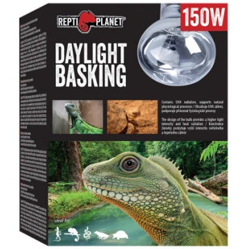 Spuldze terārija lampai - Repti Planet Bulb Daylig