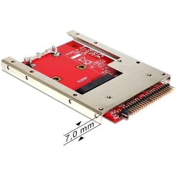Delock Konvertors Ide - Msata (62495)