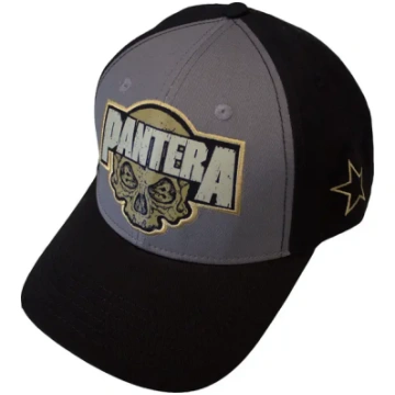 Pantera - Skull Mesh