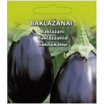 Baklažāni (Black Beauty) Vidēji agra