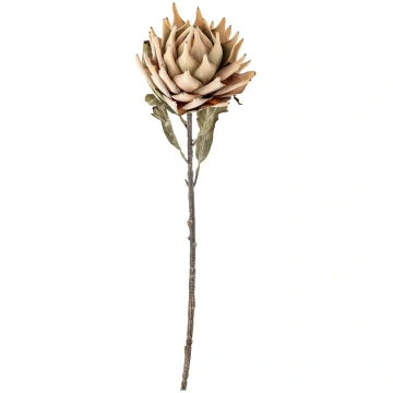 Bloomingville - Protea Stem - izmērs H76CM